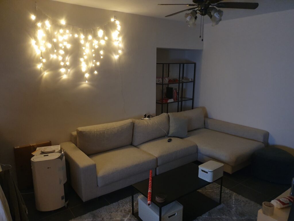 Robinson Road apartment living room