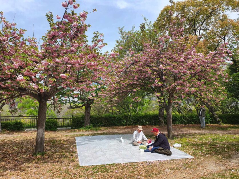 Two men sitting on mat at Osaka Castle park