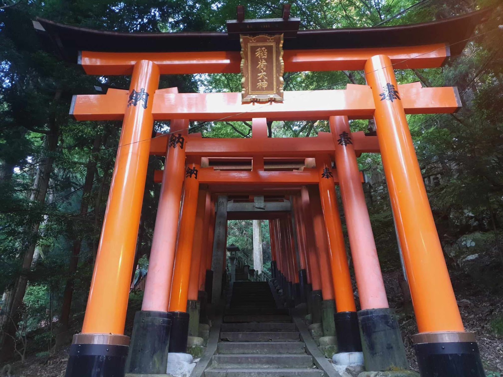 Giant torii gates at Fushimi Inari Taisha