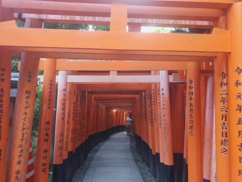 Fushimi inari torii gates with no people