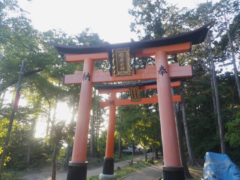 large torii gates at Fushimi Inari at sunset