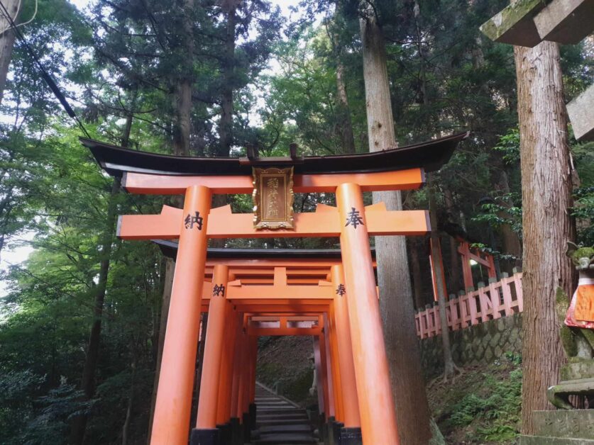 some of the final gates on the ascent to Fushimi Inari