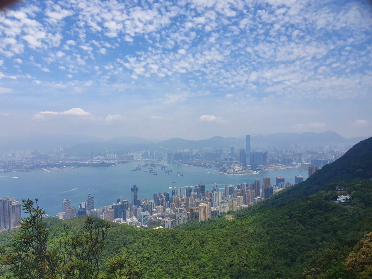 view of Victoria Harbour from High West