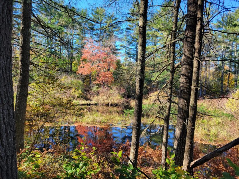 New Hampshire foliage in fall