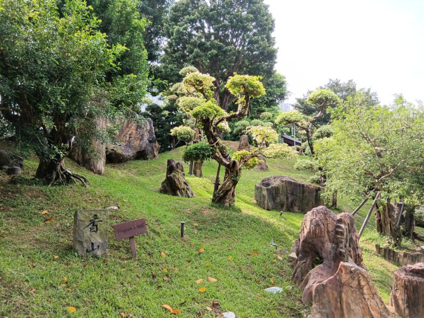 Nan Lian Garden bonsai trees and rock formations