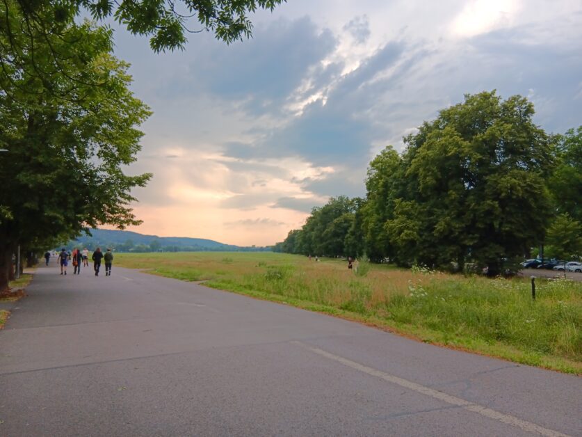 Błonia Park sunset