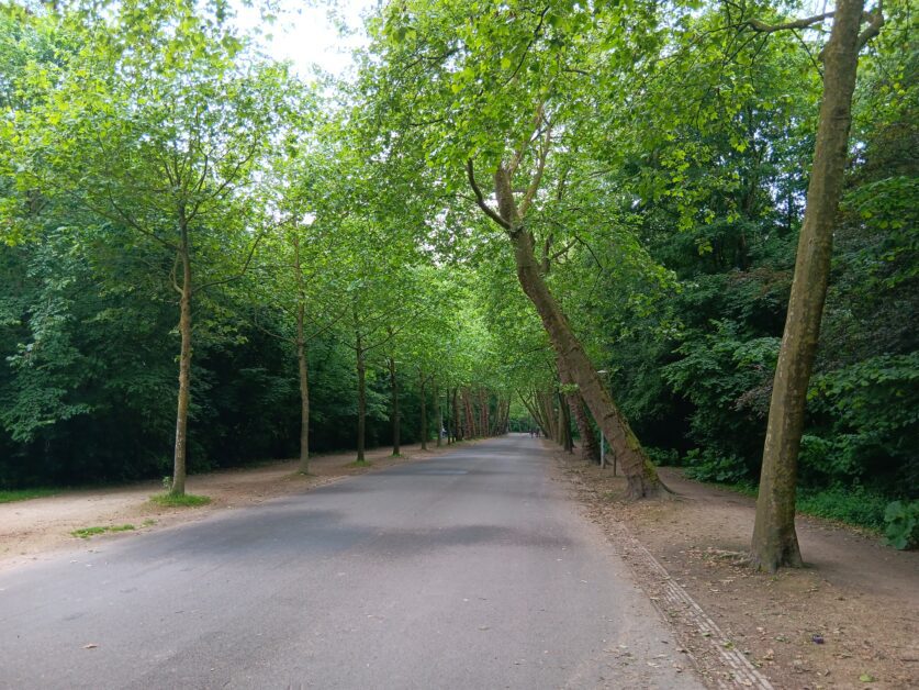 Vondelpark Amsterdam