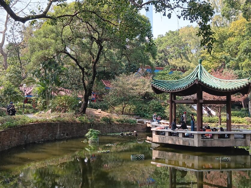 Kowloon Park pond